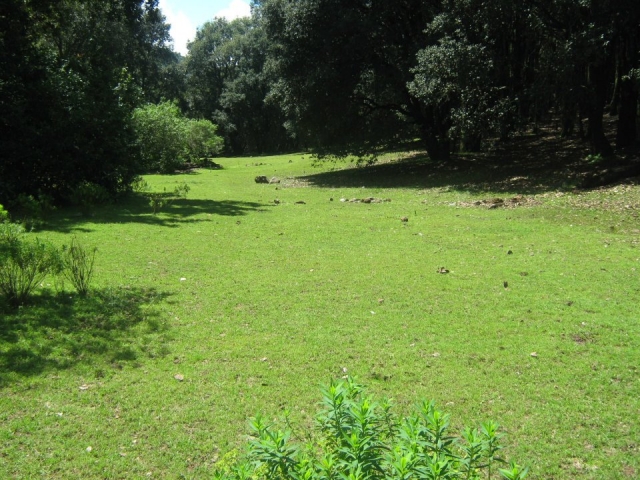 Valte del Caballo Loco